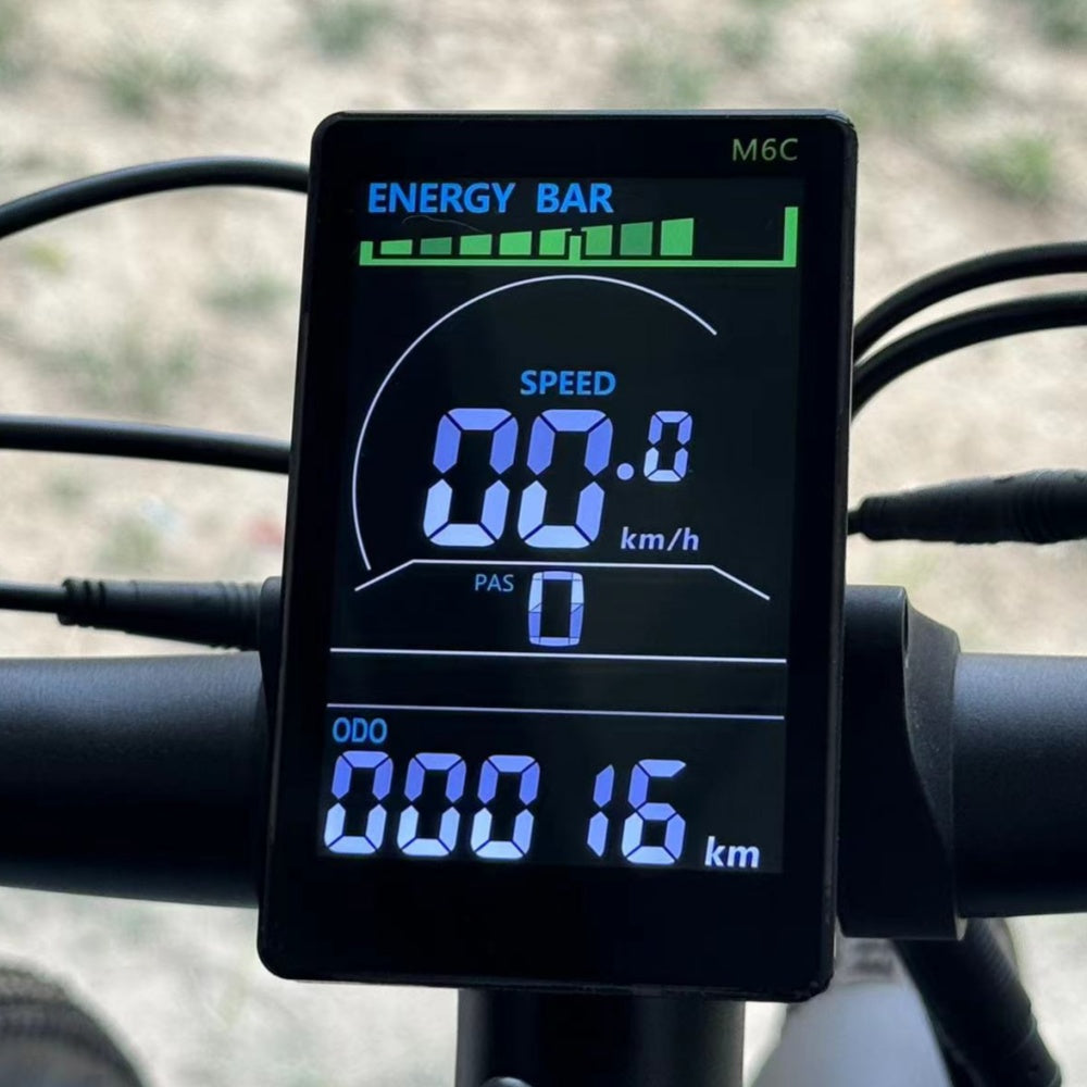 Ebike Display