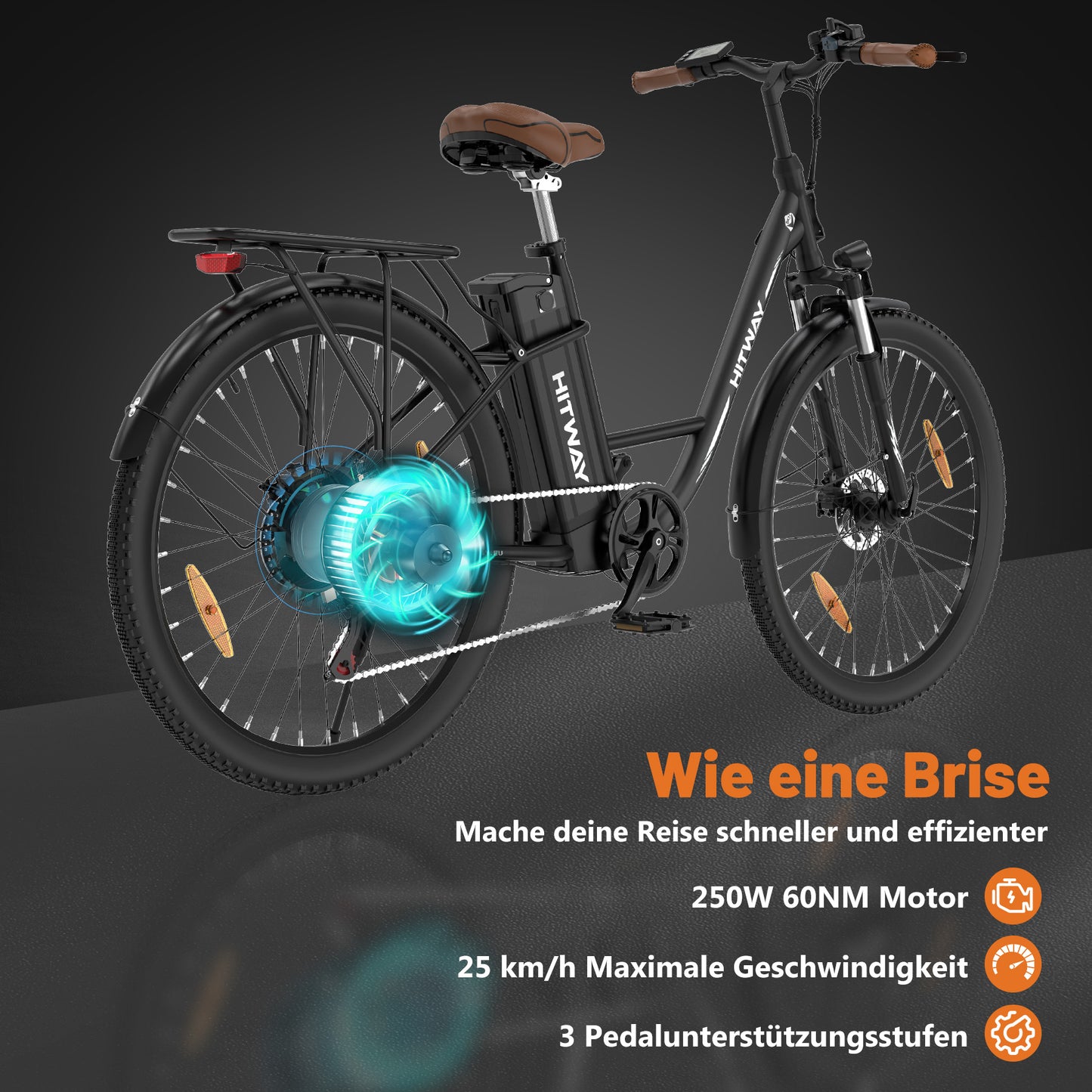 BK31 Elektrofahrrad