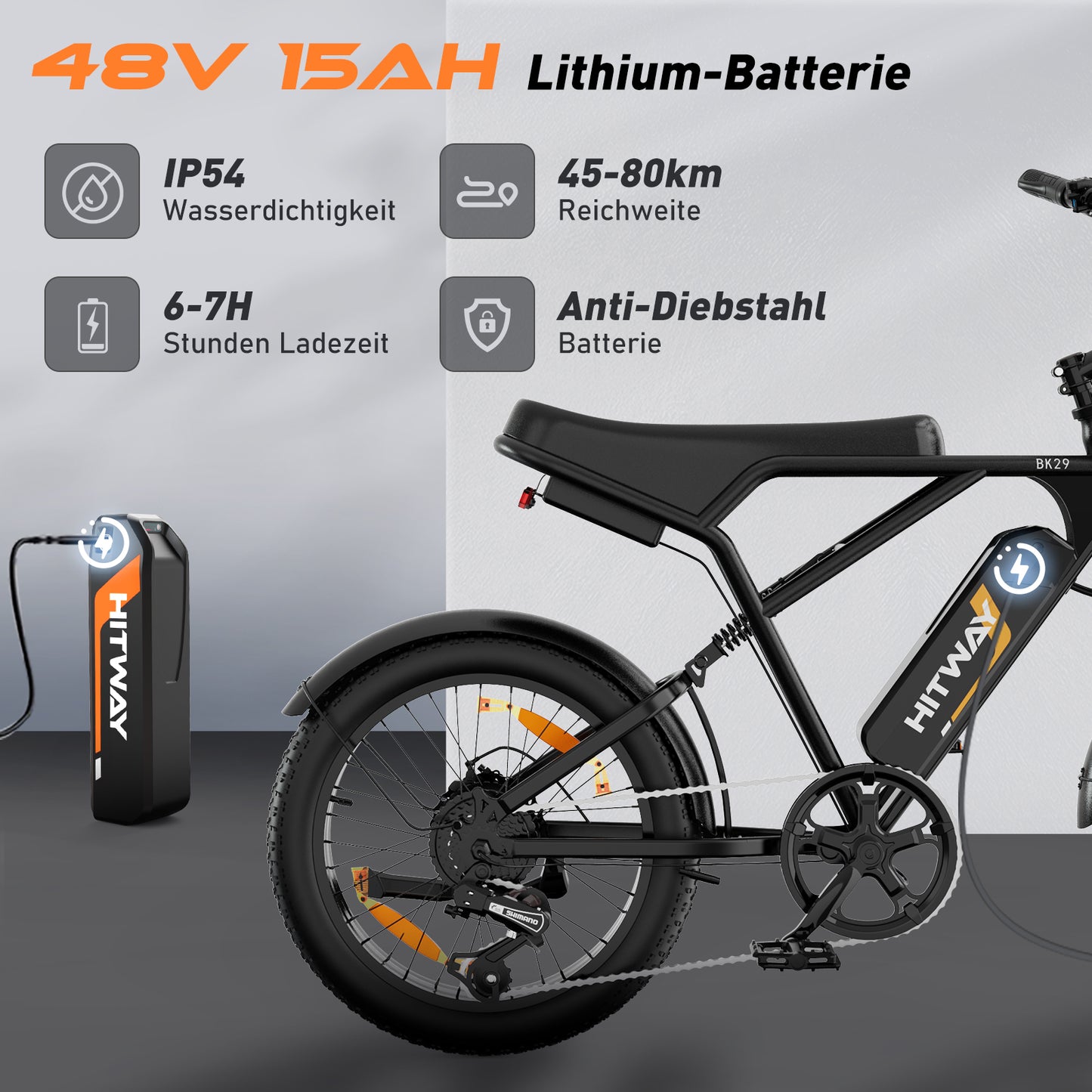 BK29 electric bike