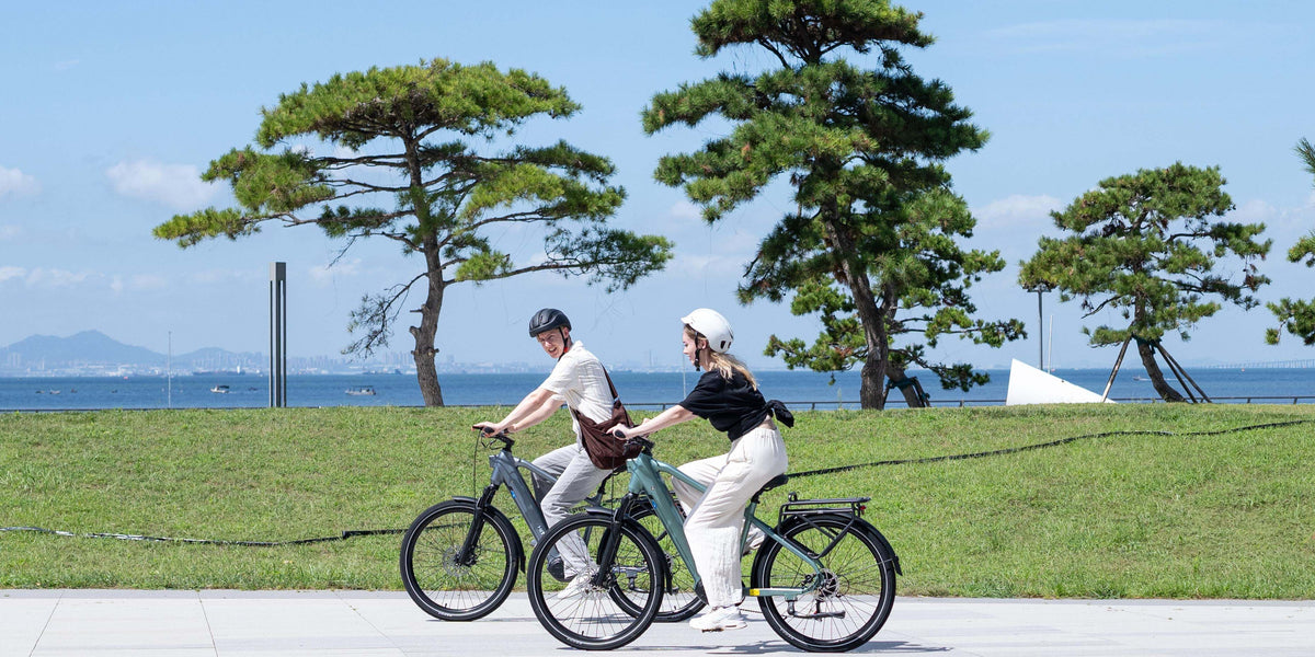Drehmomentsensor vs. Geschwindigkeitssensor: Was ist der Unterschied beim E-Bike?