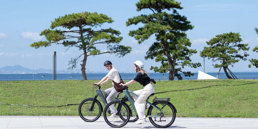 Drehmomentsensor vs. Geschwindigkeitssensor: Was ist der Unterschied beim E-Bike?