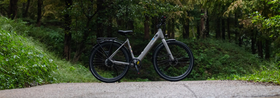 Belt-driven e-bikes