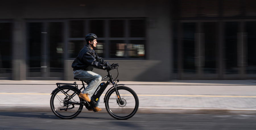 Trekking E-Bike