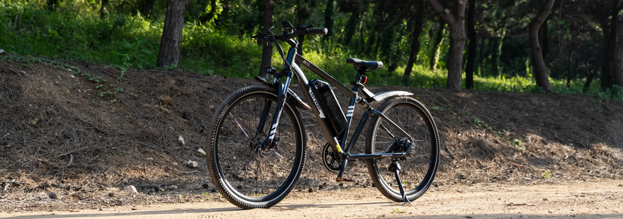 Mountain bike