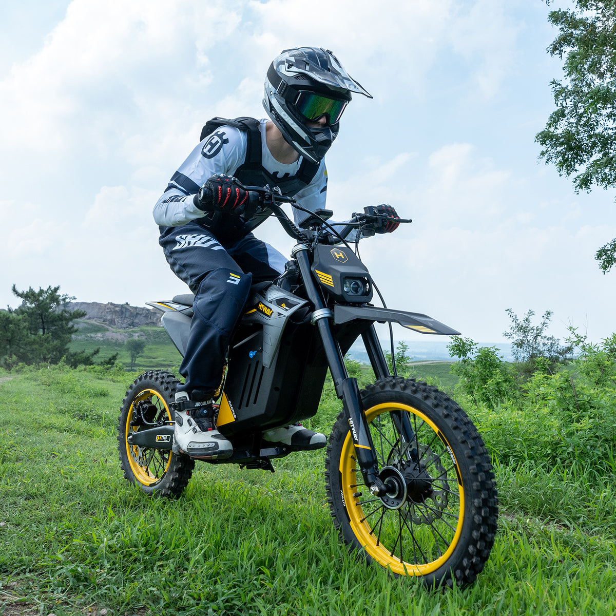 HT300 E-Dirtbike mit COC