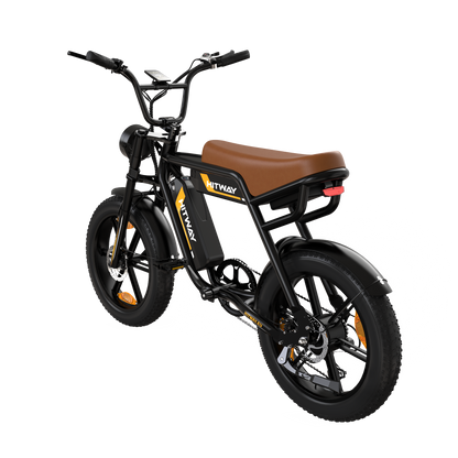 BK29S E-Bike mit Doppelbatterie