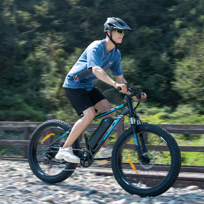 BK15 4.0 Elektrofahrrad