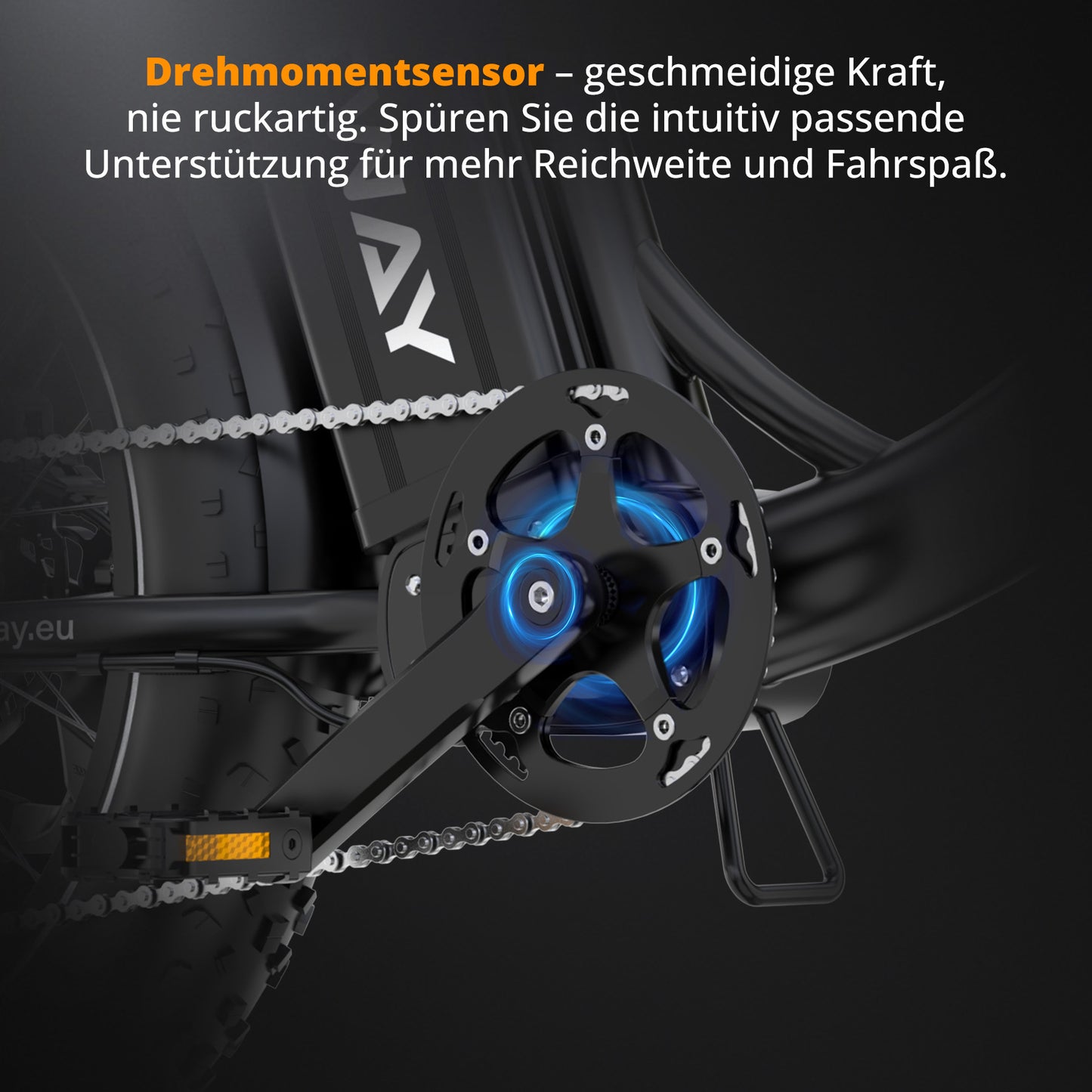 BK6S Plus cargo e-bike