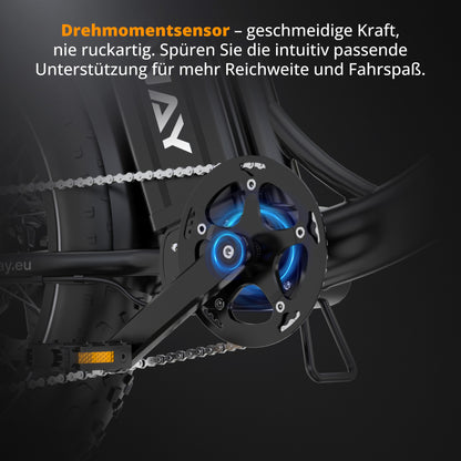 BK6S Plus cargo e-bike