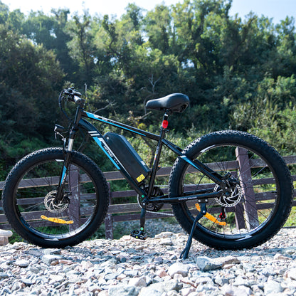BK15 4.0 Elektrofahrrad