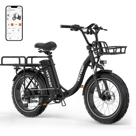 BK6S Plus Lasten-Elektrofahrrad