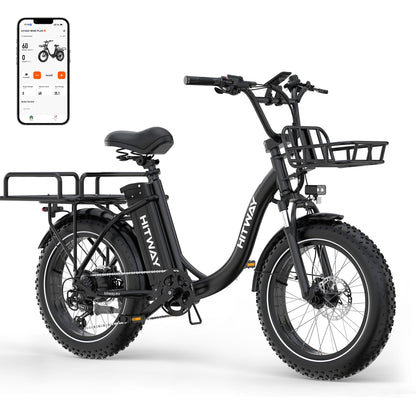 BK6S Plus cargo e-bike