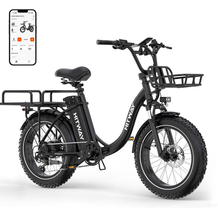 BK6S Plus Lasten-Elektrofahrrad