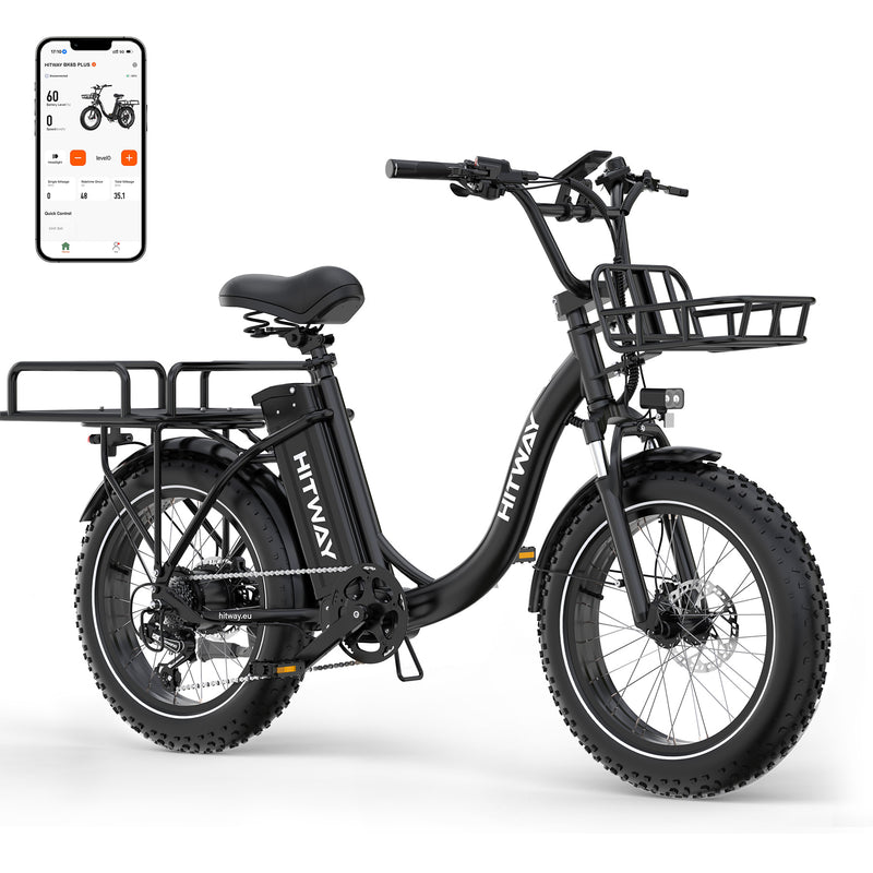 BK6S Plus cargo e-bike