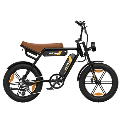 BK29S E-Bike mit Doppelbatterie