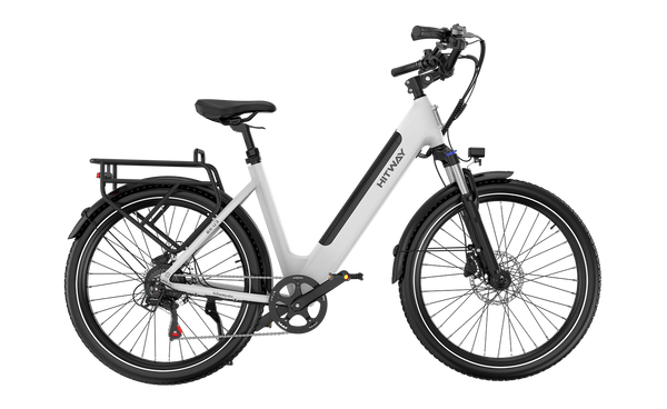 Elektrofahrrad inkl. Akku x 1