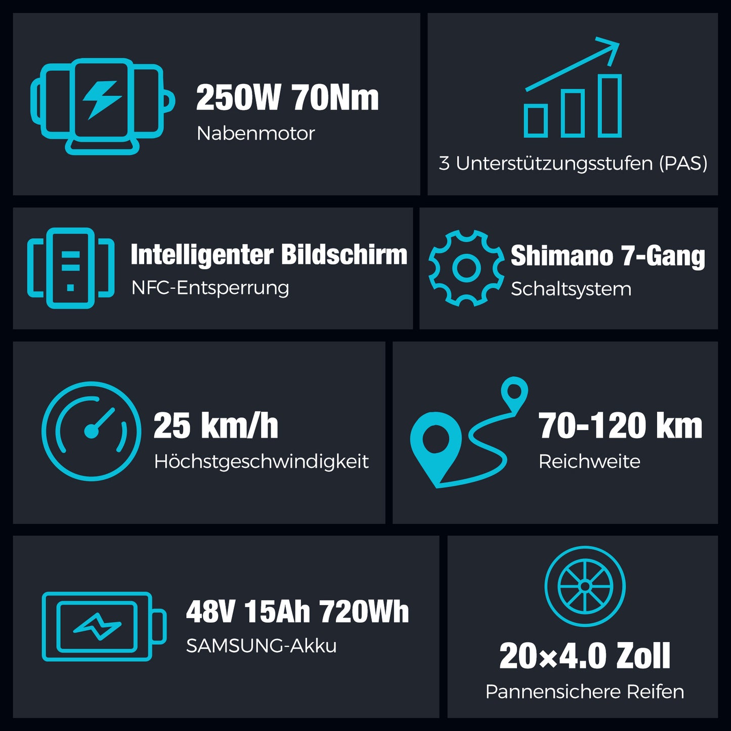 BK10S PRO folding fat bike e-bike