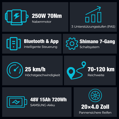 BK10S PRO Klappbares Fatbike E-Bike