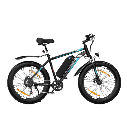 BK15 4.0 Elektrofahrrad