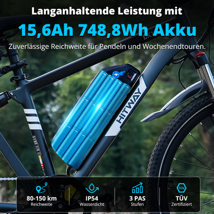 BK15 Plus 29 Zoll Elektrofahrrad