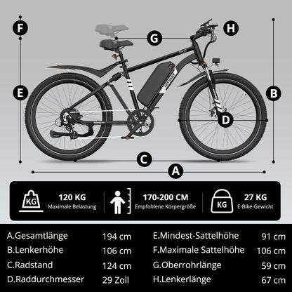 BK15 Plus 29 Zoll Elektrofahrrad