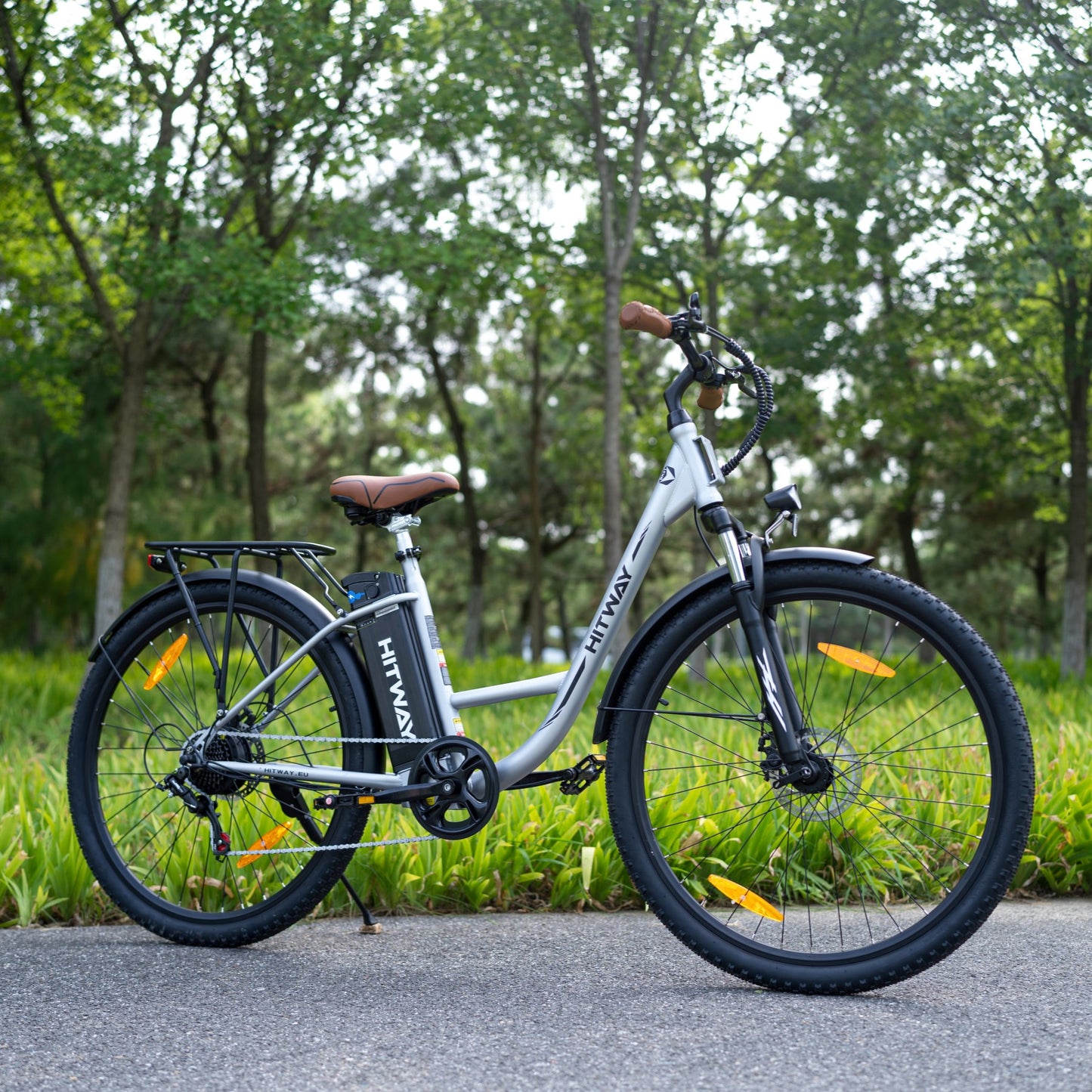 BK31 Elektrofahrrad