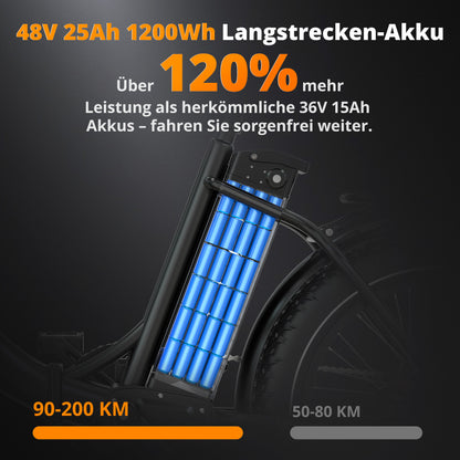 BK6S Plus Lasten-Elektrofahrrad