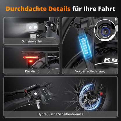 BK6S Plus Lasten-Elektrofahrrad