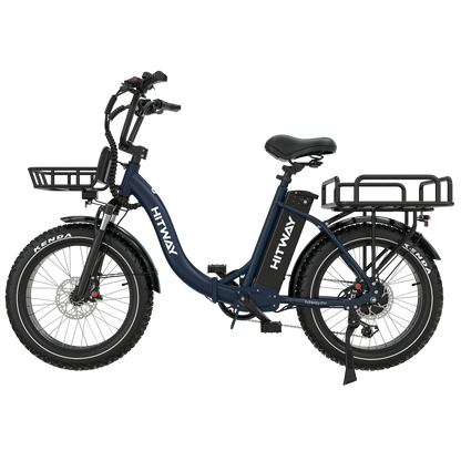 BK6S Plus Lasten-Elektrofahrrad
