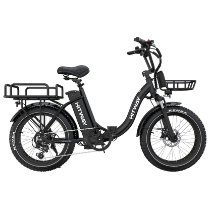 BK6S Plus Lasten-Elektrofahrrad