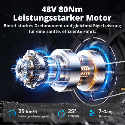 BK6S Pro Klapp-E-Bike