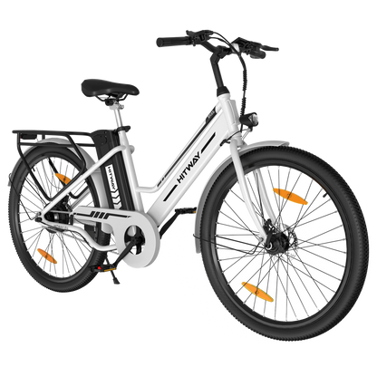 BK8S Elektrofahrrad