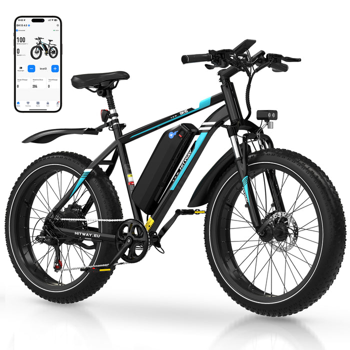 BK15 4.0 Elektrofahrrad mit fetten Reifen