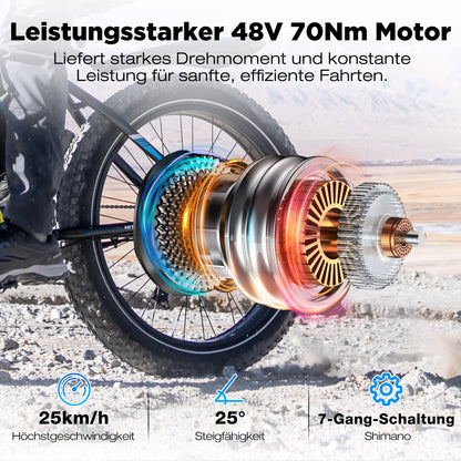 BK15 4.0 Elektrofahrrad mit fetten Reifen