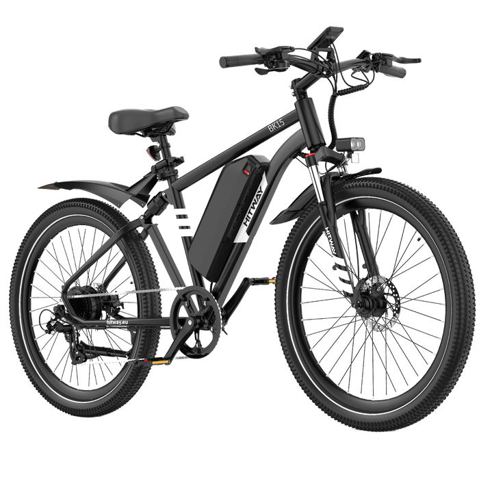 BK15PL 29 inch electric bicycle