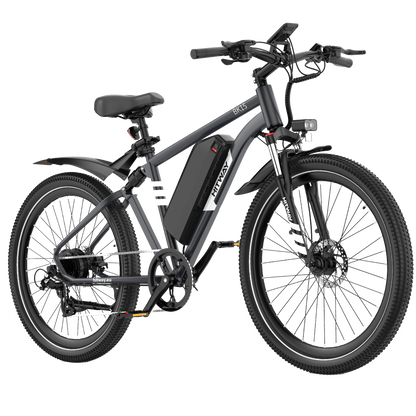 BK15 Plus 29 Zoll Elektrofahrrad