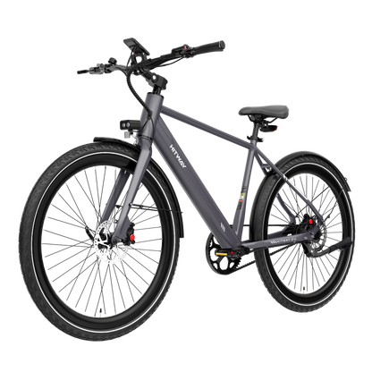 BK19 Pro Riemenantrieb E-Bike