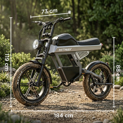 BK28 Fat Tire Electric Bike