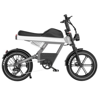 BK28 Fat Tire Electric Bike