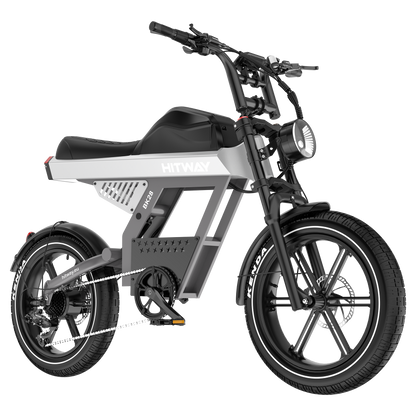 BK28 Fat Tire Electric Bike