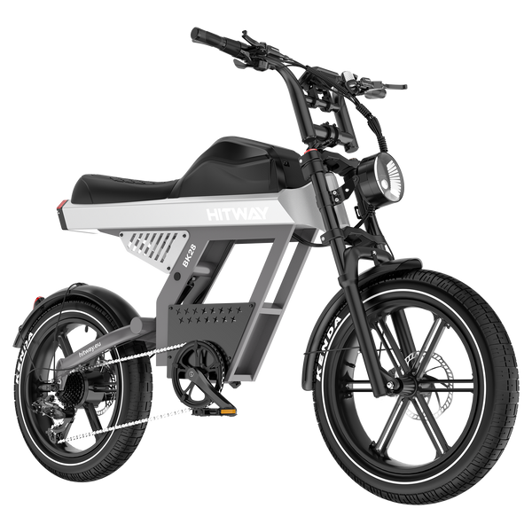 Elektrofahrrad inkl. Akku x 1