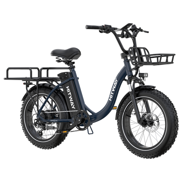Elektrofahrrad inkl. Front- und Heckkorb x 1