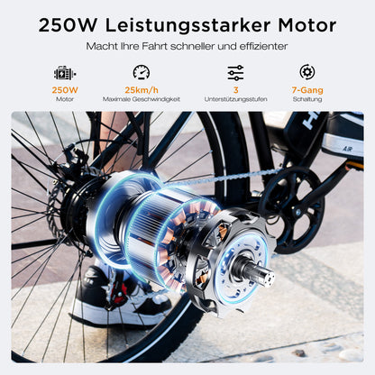 BK27S electric bicycle