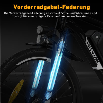BK15 Elektrofahrrad