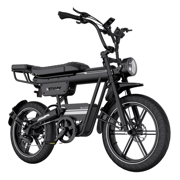 Elektrofahrrad inkl. Akku x 1