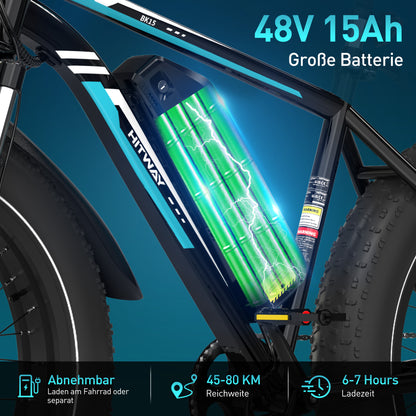 BK15 4.0 Elektrofahrrad mit fetten Reifen