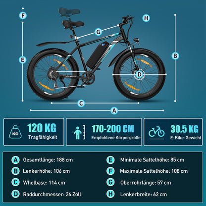 BK15 4.0 Elektrofahrrad mit fetten Reifen