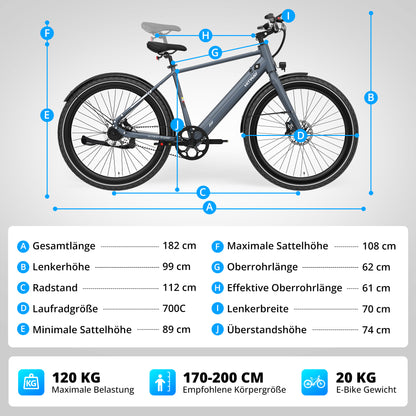 BK19 Pro Riemenantrieb E-Bike