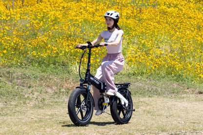 BK10S faltbares Elektrofahrrad